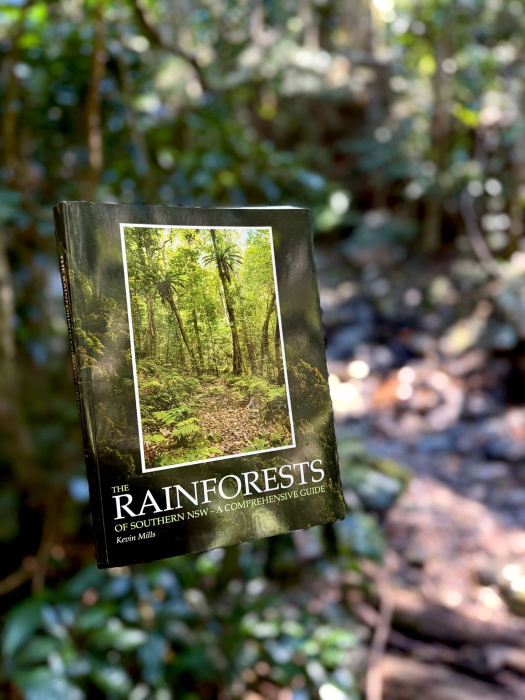The Rainforests of Southern NSW, held up in the rainforest