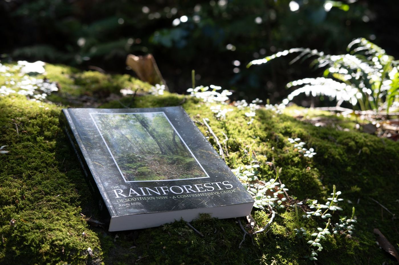The Rainforests of Southern NSW on a mossy log